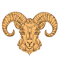  Ram