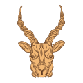  Steenbok