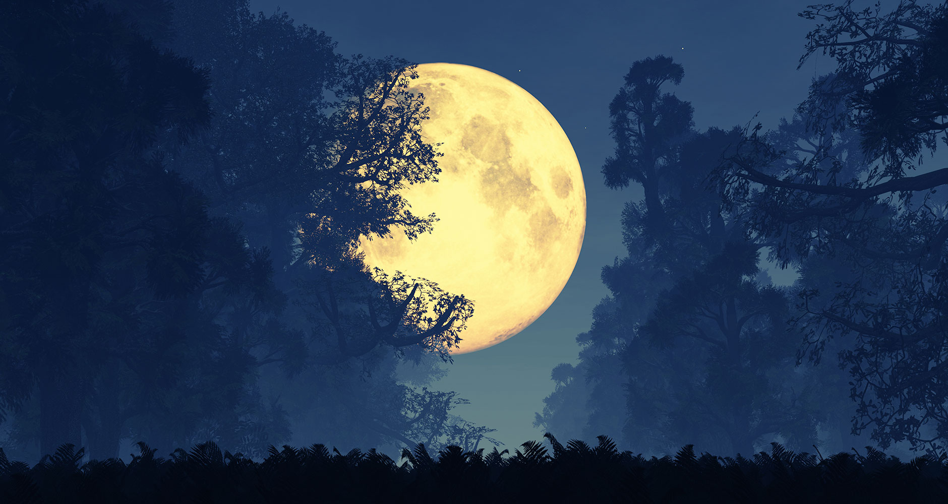 De Volle Maan van 9 -3-2020