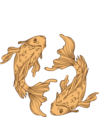 Dicteren kopiëren jacht Sterrenbeeld Vissen - Astroangels