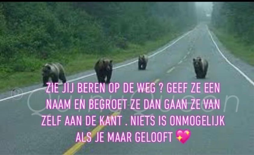 quotes