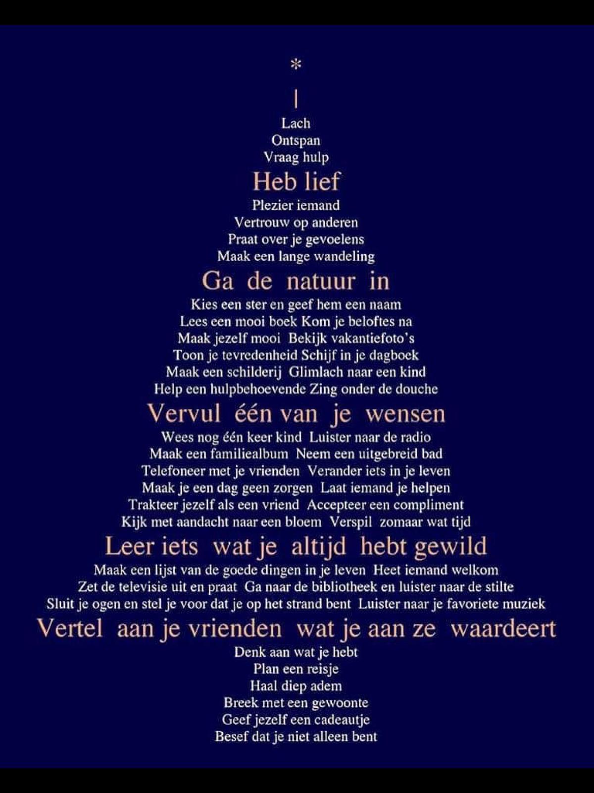 kerstwens medium Faye