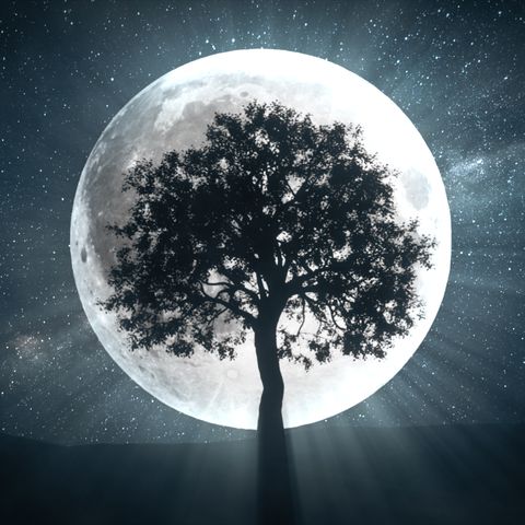 full-moon-rituals-2