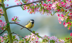 De lente is weer begonnen, Medium Inge vertelt wa